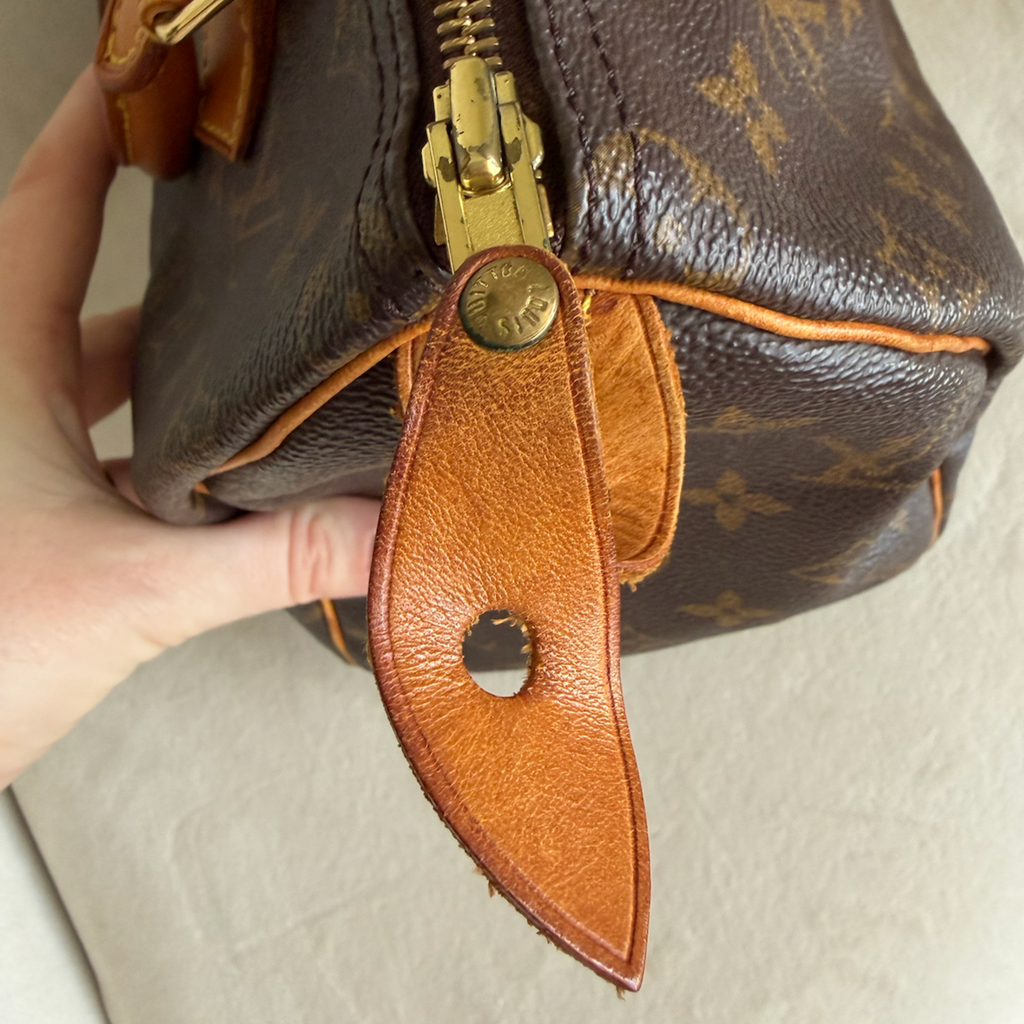 Louis Vuitton Speedy 25