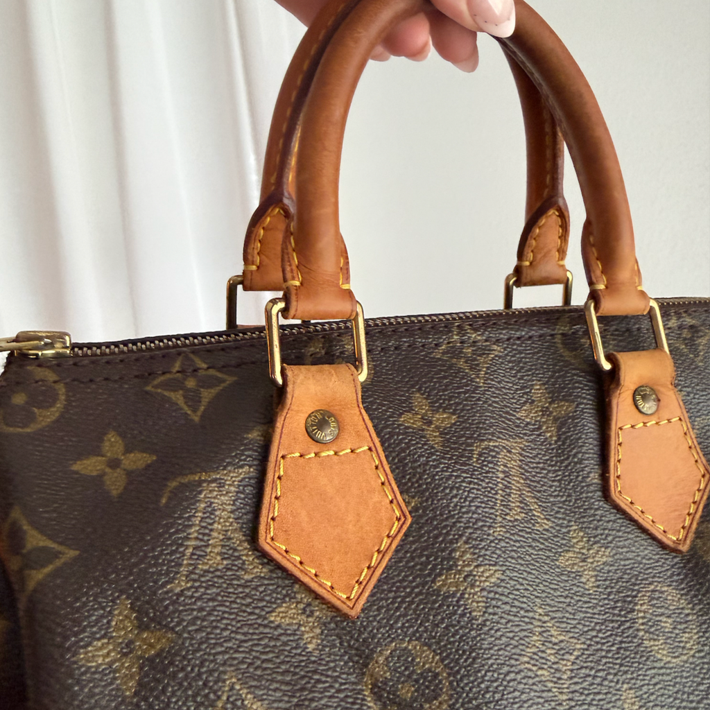 Louis Vuitton Speedy 25