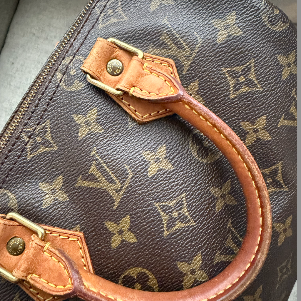 Louis Vuitton Speedy 25