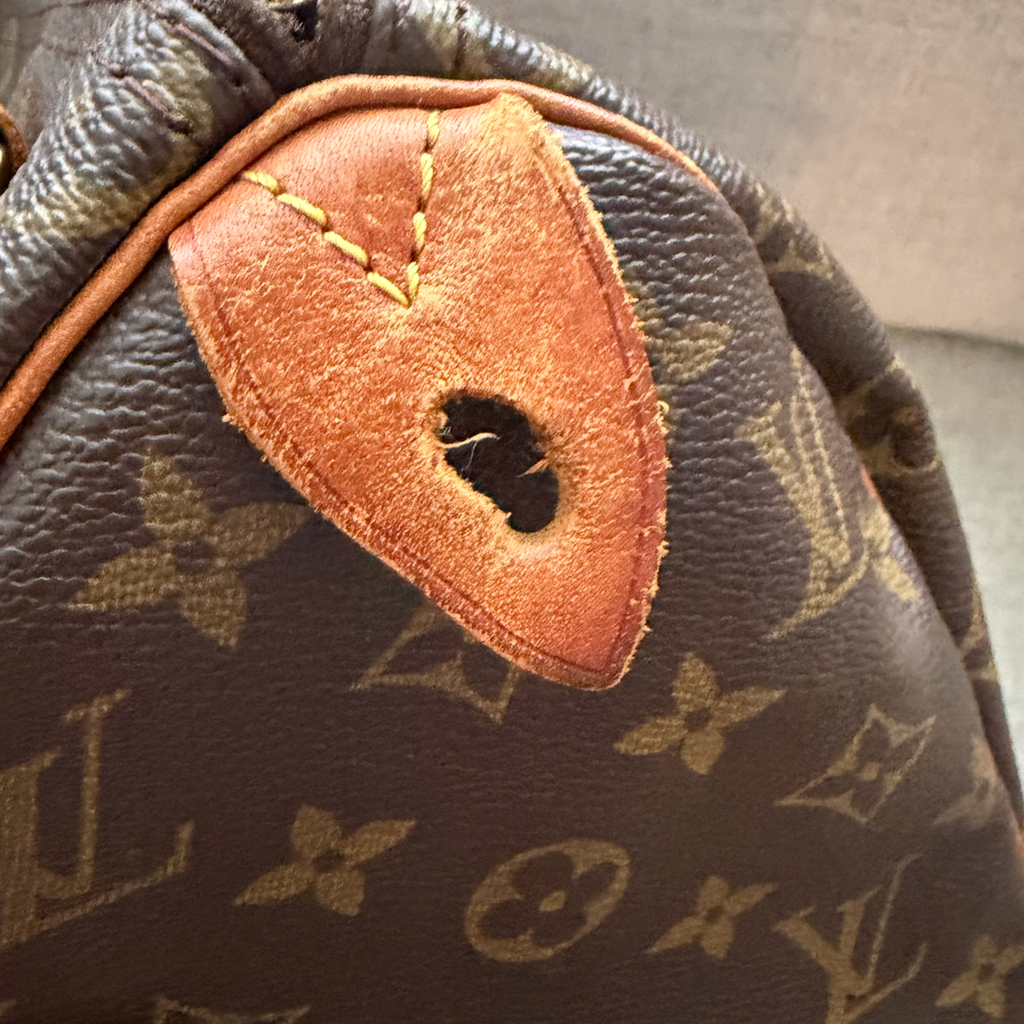 Louis Vuitton Speedy 25