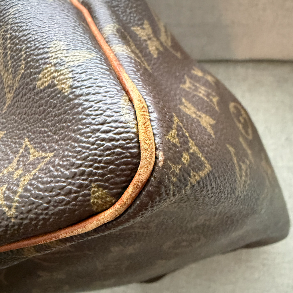Louis Vuitton Speedy 25