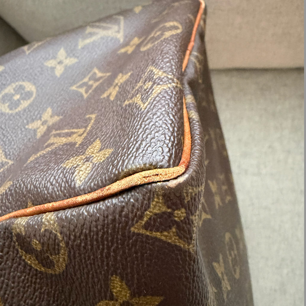 Louis Vuitton Speedy 25