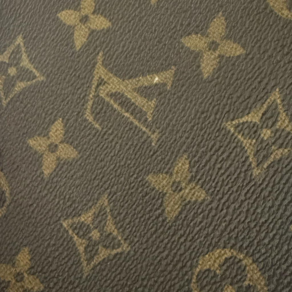 Louis Vuitton Speedy 25