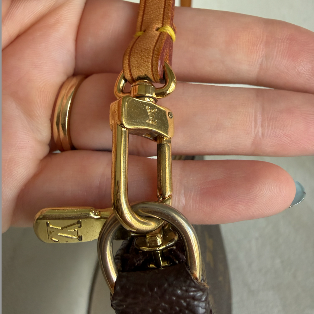 Louis Vuitton Pochette Accessoires