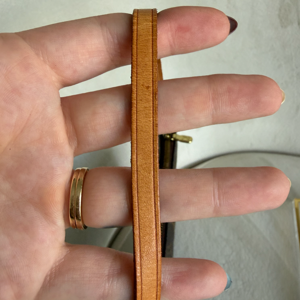 Louis Vuitton Pochette Accessoires