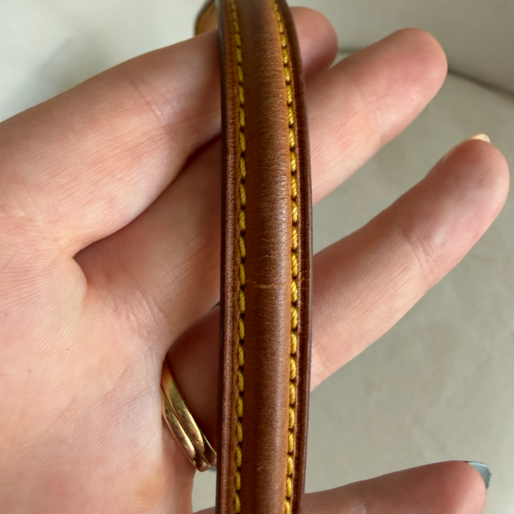 Louis Vuitton Recital Bag