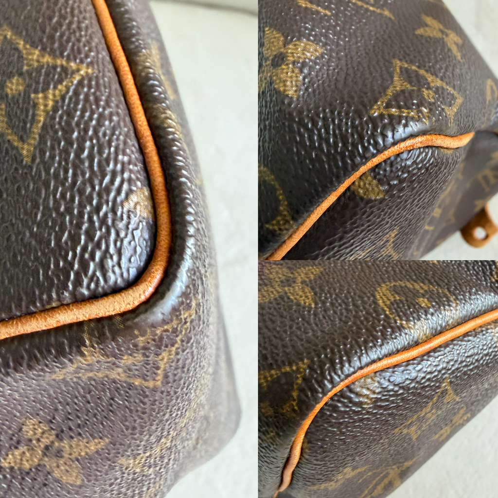 Louis Vuitton Speedy 25
