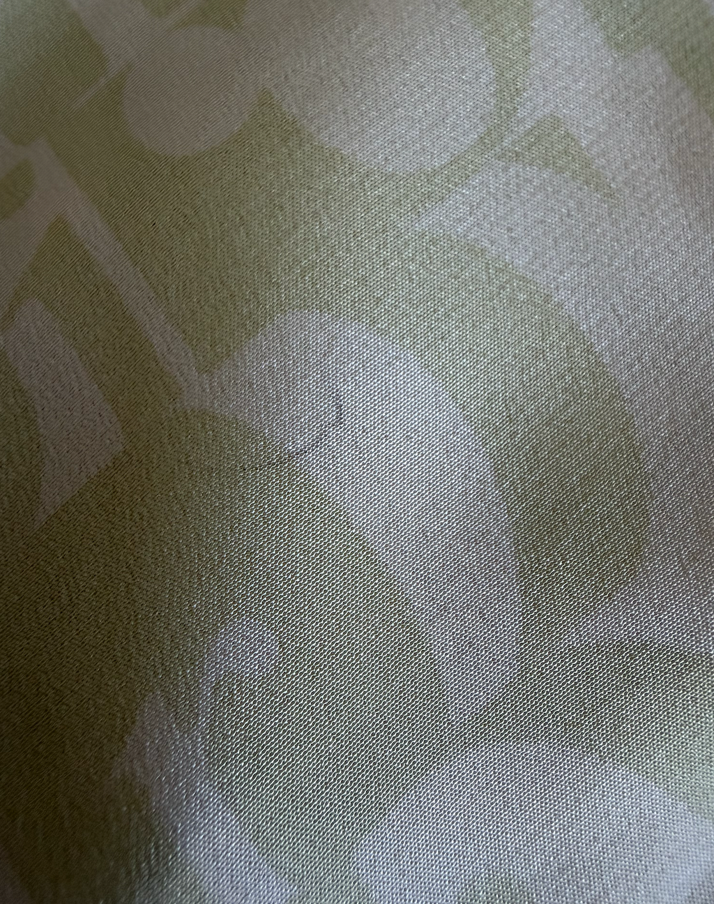 Dior Cream/Green Silk Scarf