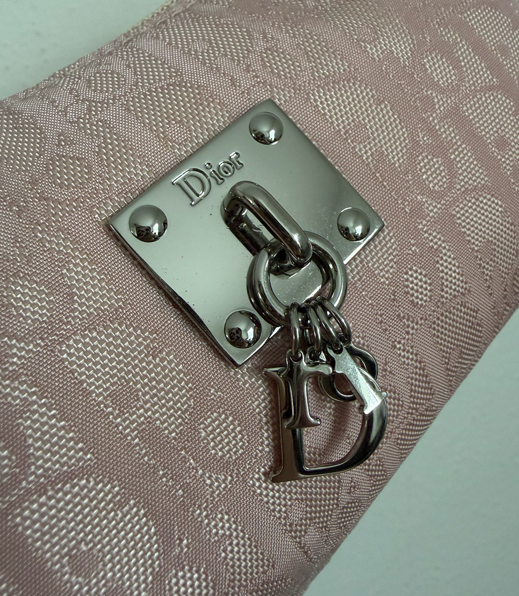 Dior Pink Trotter Pochette