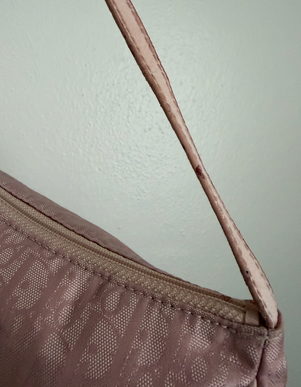 Dior Pink Trotter Pochette