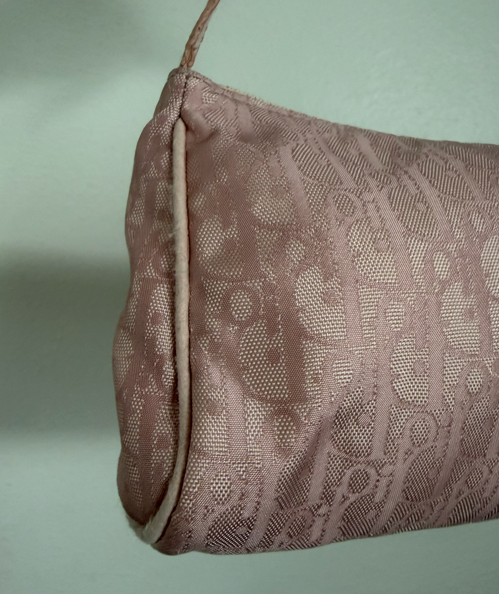 Dior Pink Trotter Pochette