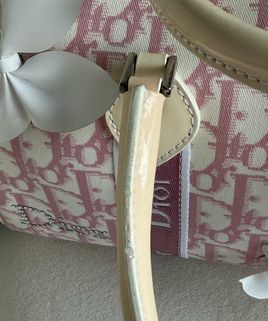 Dior Trotter Girly Boston Bag