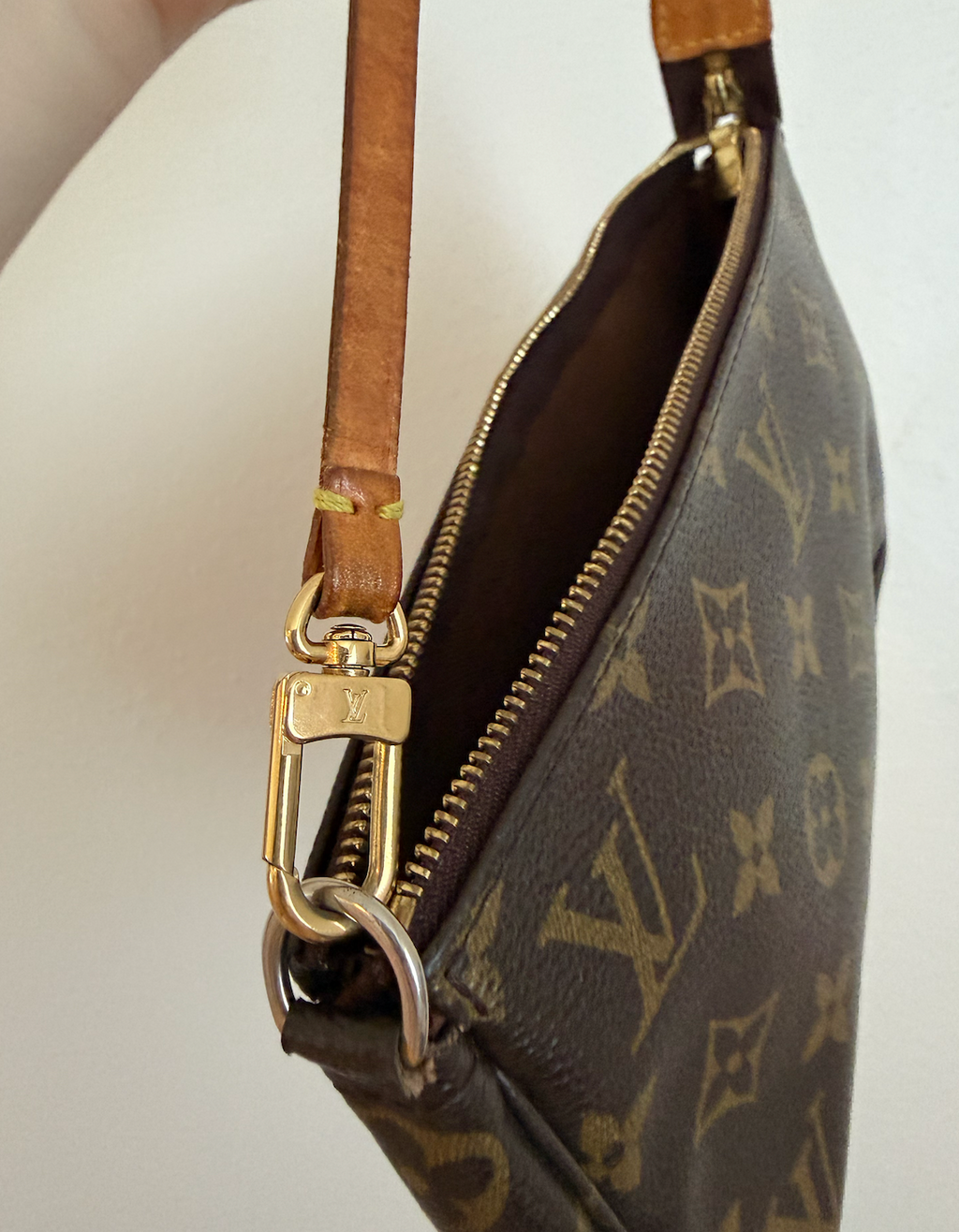 Louis Vuitton Pochette Accessoires