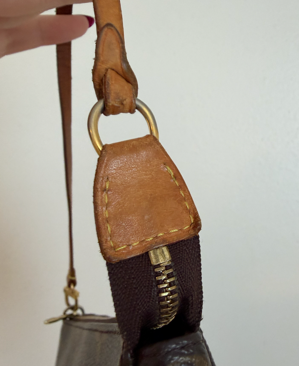Louis Vuitton Pochette Accessoires