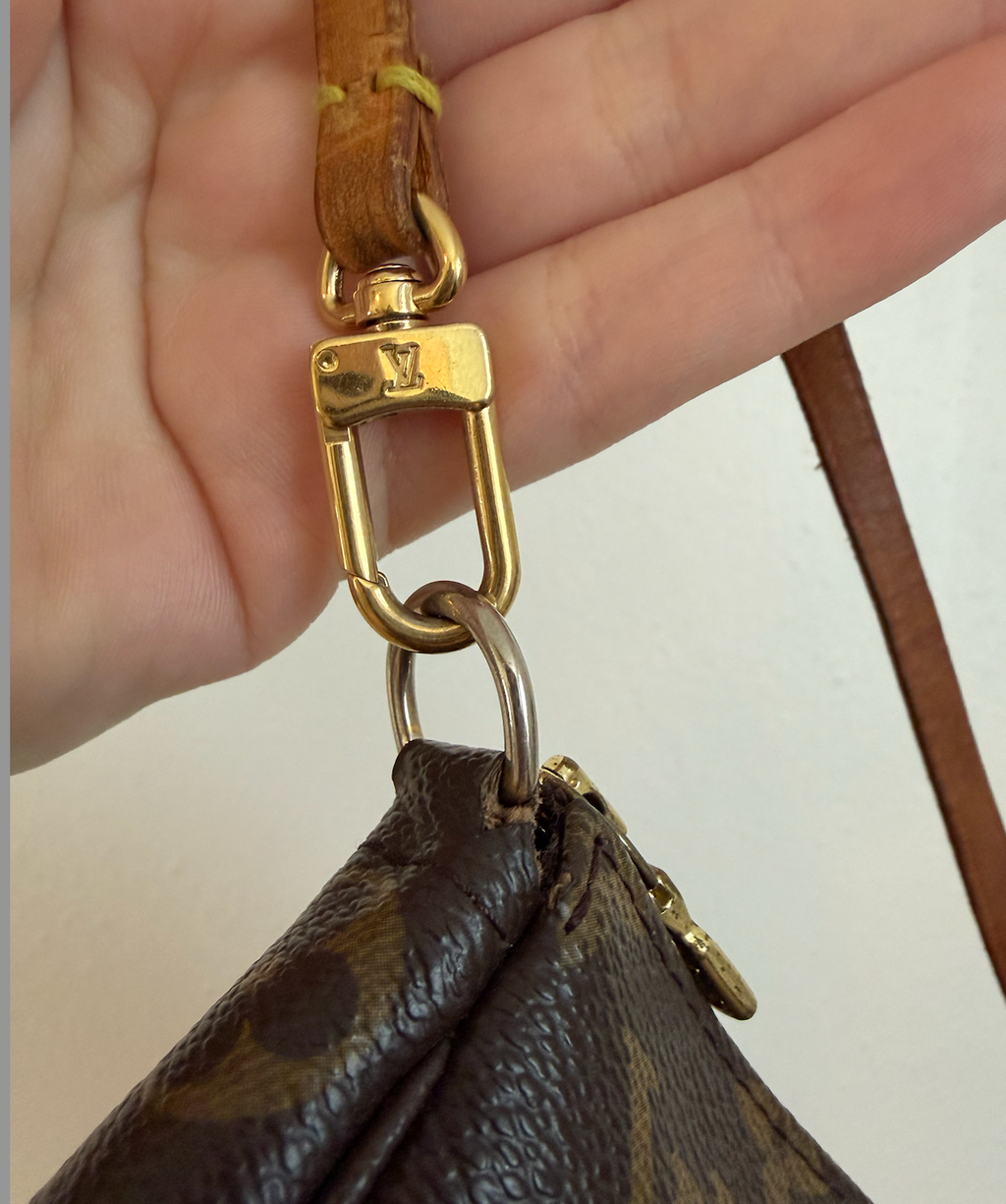 Louis Vuitton Pochette Accessoires