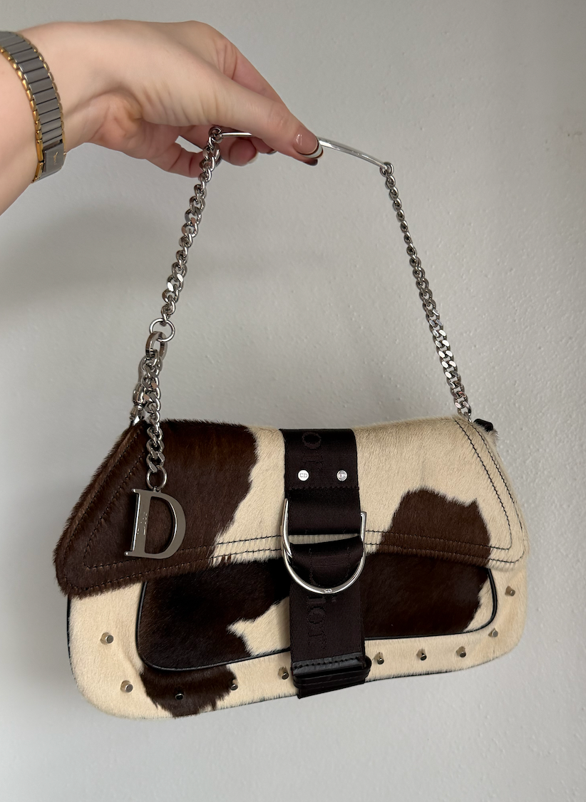 Dior Ponyhair Bag (Hardcore Collection)