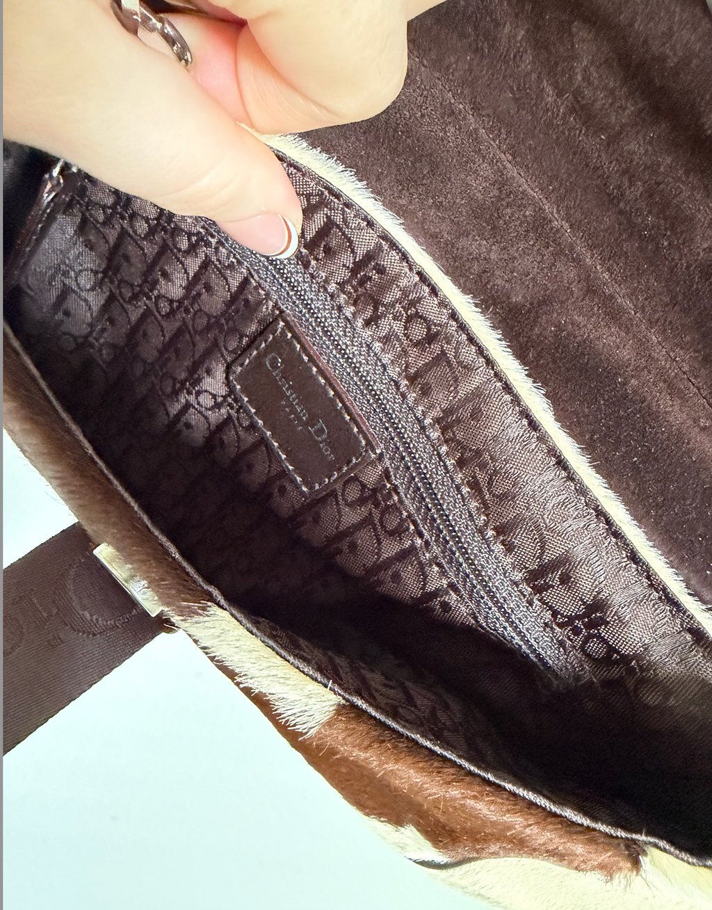 Dior Ponyhair Bag (Hardcore Collection)