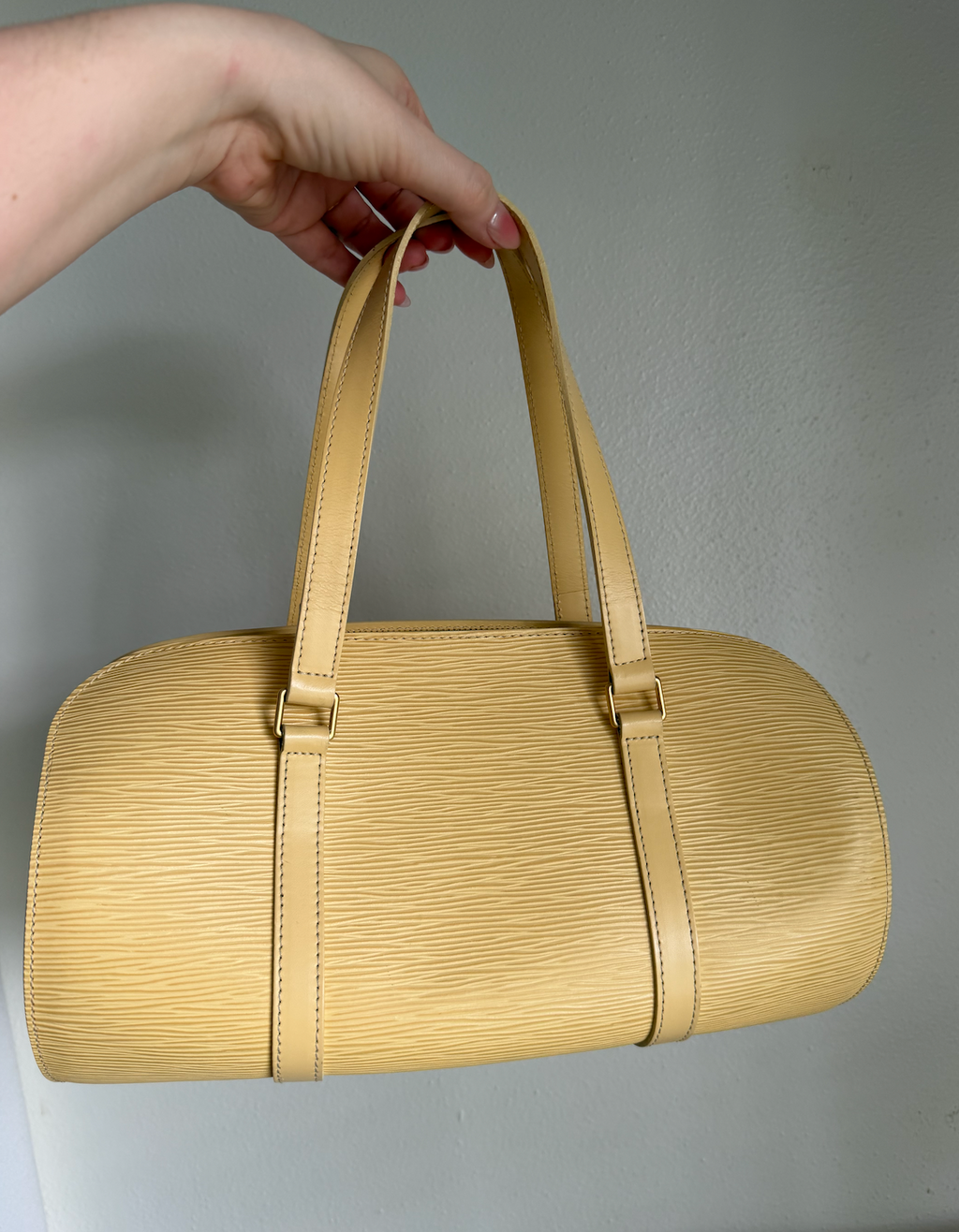 Louis Vuitton Soufflot Bag w/ Mini Pouchette