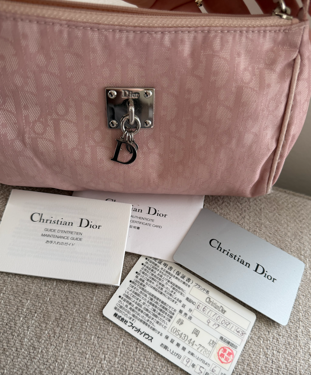 Dior Pink Trotter Pochette